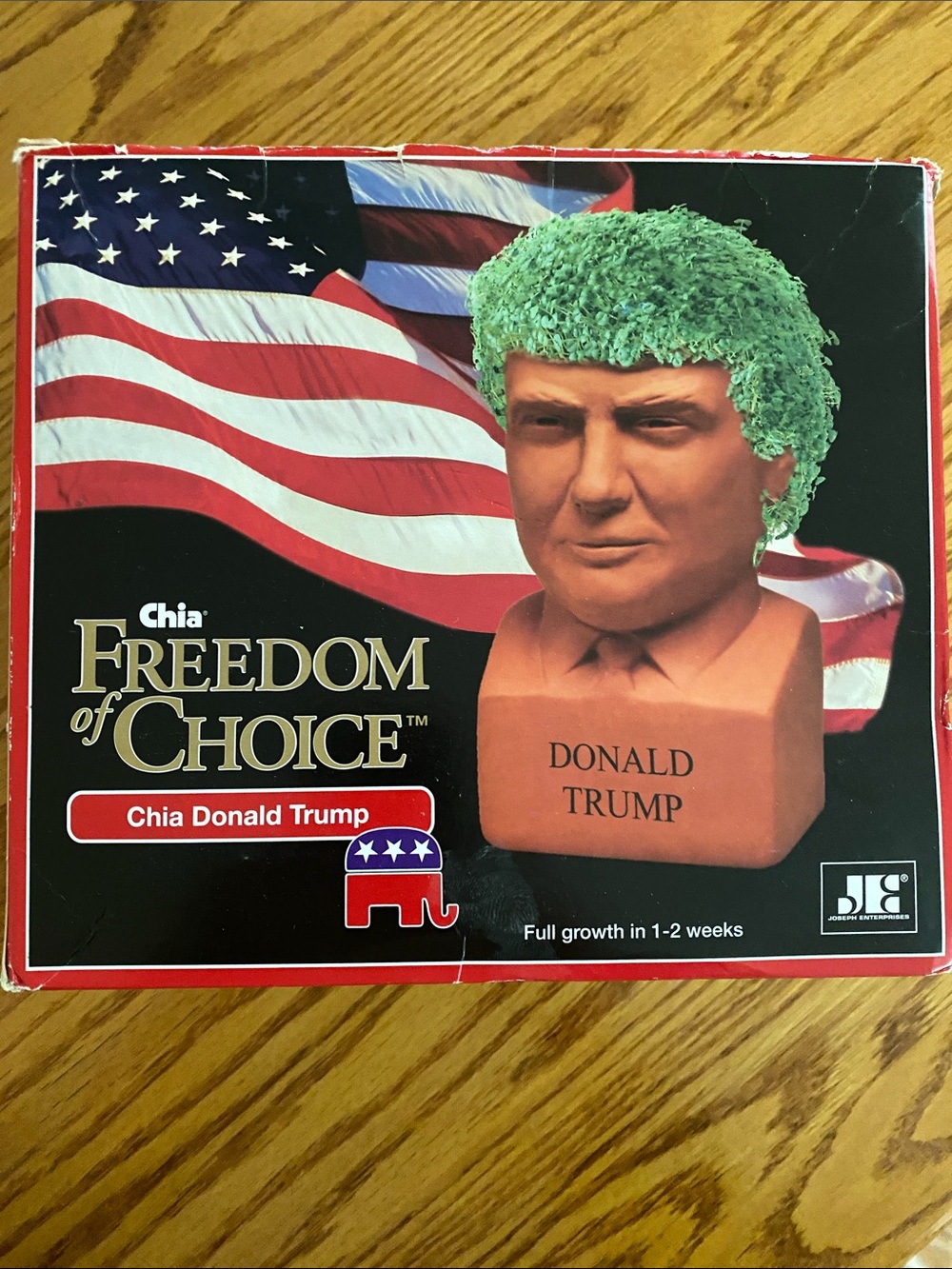Chia Freedom of Choice Donald Trump Planter with Green Chia Hair